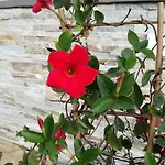 Knablhof 상트마틴암테넨게비르게