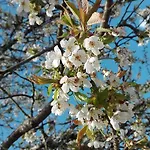 Knablhof סנט מרטין אם טננגבריגה