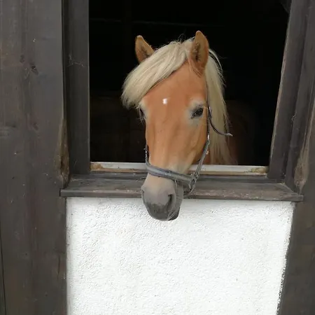 Апартаменты Knablhof